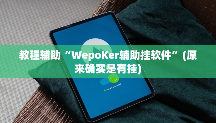 教程辅助“WepoKer辅助挂软件”(原来确实是有挂)