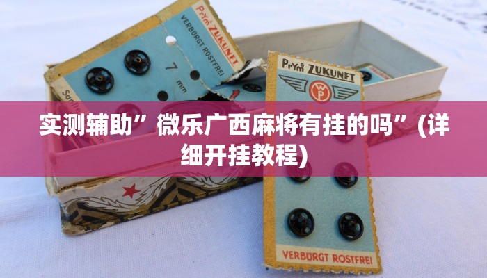 实测辅助”微乐广西麻将有挂的吗”(详细开挂教程)