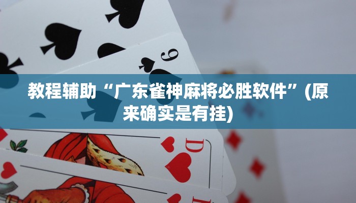 教程辅助“广东雀神麻将必胜软件”(原来确实是有挂)