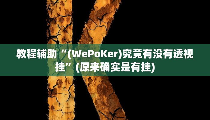 教程辅助“(WePoKer)究竟有没有透视挂”(原来确实是有挂)