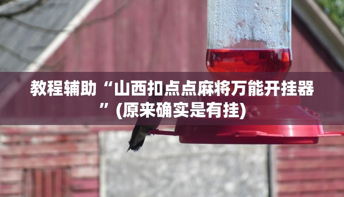 教程辅助“山西扣点点麻将万能开挂器”(原来确实是有挂)