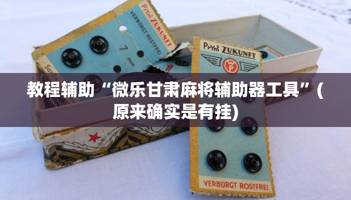 教程辅助“微乐甘肃麻将辅助器工具”(原来确实是有挂)