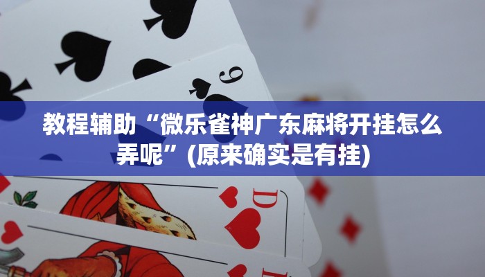 教程辅助“随意玩棋牌有挂吗”(原来确实是有挂)