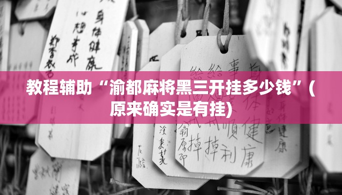 教程辅助“wepoker私人局开挂视频”(原来确实是有挂)
