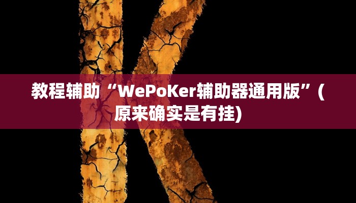 教程辅助“WePoKer辅助器通用版”(原来确实是有挂)