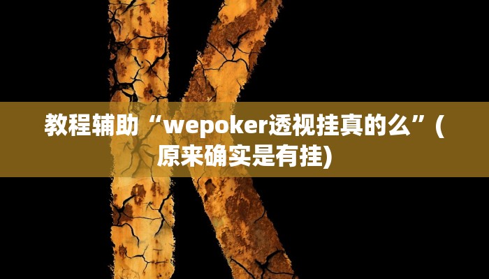 教程辅助“wepoker透视挂真的么”(原来确实是有挂)