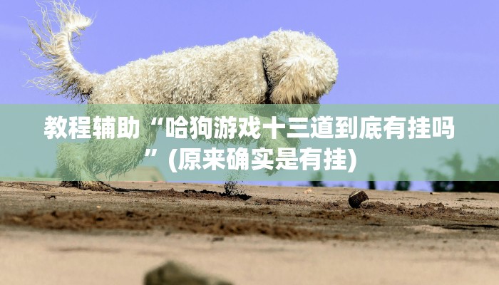教程辅助“哈狗游戏十三道到底有挂吗”(原来确实是有挂)