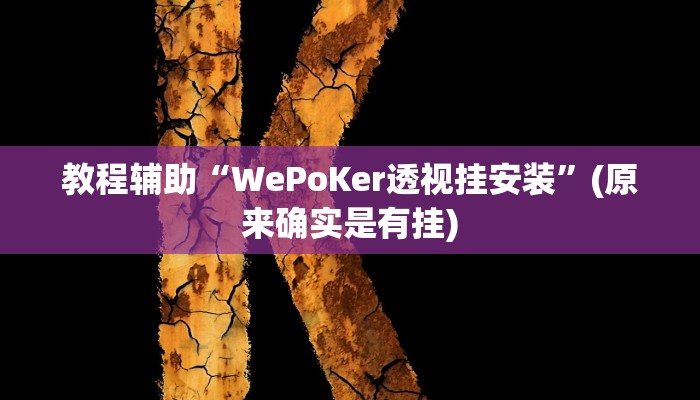 教程辅助“WePoKer透视挂安装”(原来确实是有挂)