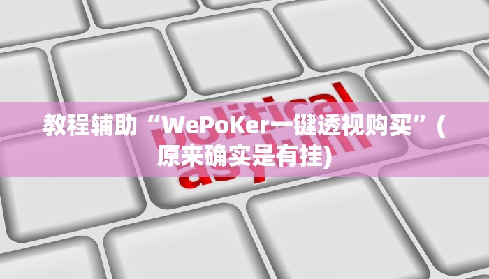 教程辅助“WePoKer一键透视购买”(原来确实是有挂)