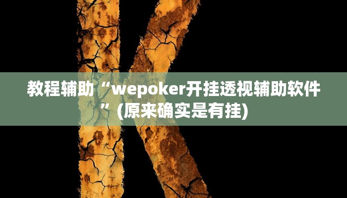 教程辅助“wepoker开挂透视辅助软件”(原来确实是有挂)