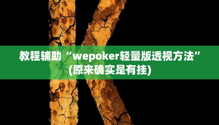 教程辅助“wepoker轻量版透视方法”(原来确实是有挂)