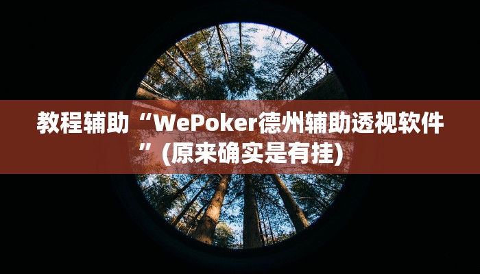 教程辅助“WePoker德州辅助透视软件”(原来确实是有挂)