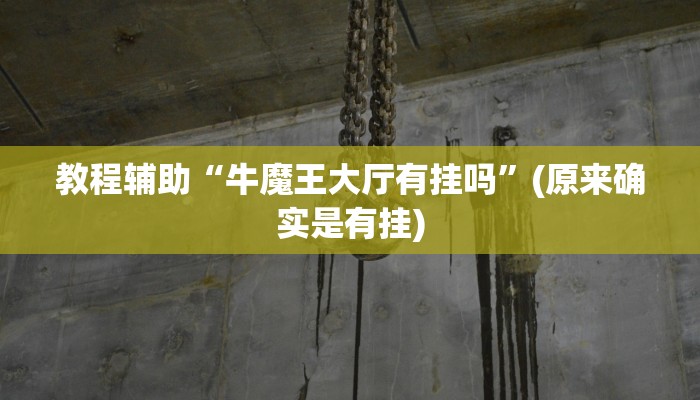 教程辅助“牛魔王大厅有挂吗”(原来确实是有挂)