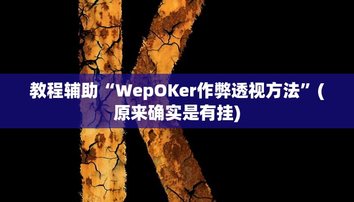 教程辅助“WepOKer作弊透视方法”(原来确实是有挂)