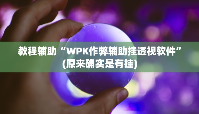 教程辅助“WPK作弊辅助挂透视软件”(原来确实是有挂)