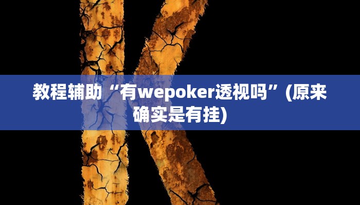 教程辅助“有wepoker透视吗”(原来确实是有挂)