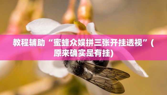 教程辅助“蜜蜂众娱拼三张开挂透视”(原来确实是有挂)