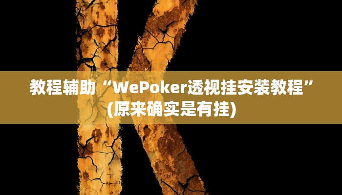 教程辅助“WePoker透视挂安装教程”(原来确实是有挂)