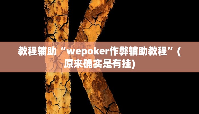 教程辅助“wepoker作弊辅助教程”(原来确实是有挂)