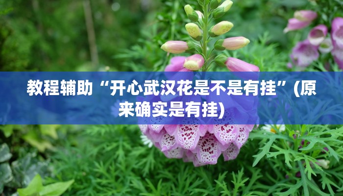 教程辅助“科乐吉林麻将开挂方法”(原来确实是有挂)
