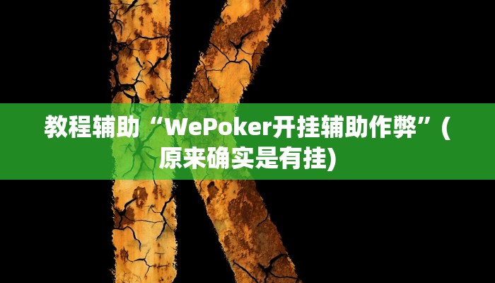 教程辅助“WePoker开挂辅助作弊”(原来确实是有挂)