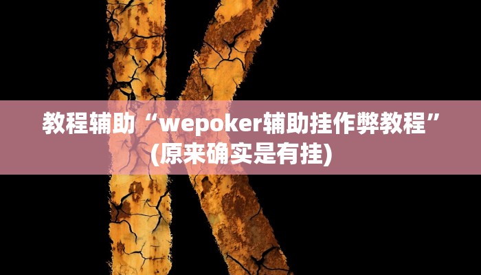 教程辅助“wepoker辅助挂作弊教程”(原来确实是有挂)