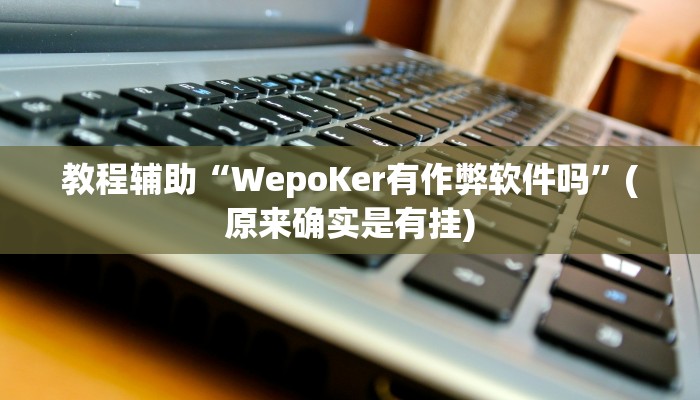 教程辅助“WepoKer有作弊软件吗”(原来确实是有挂)