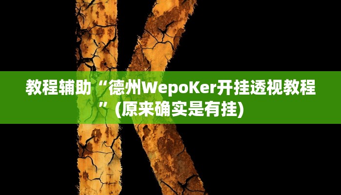辅助神器“广西十三水万能辅助器”(详细开挂教程)