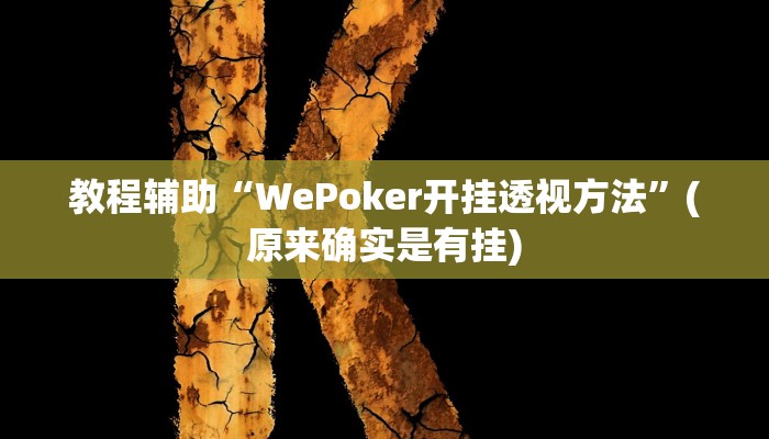 教程辅助“WePoker开挂透视方法”(原来确实是有挂)