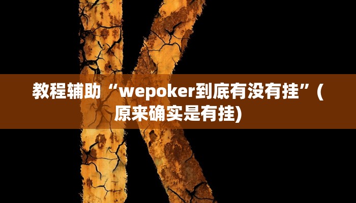 教程辅助“wepoker到底有没有挂”(原来确实是有挂)