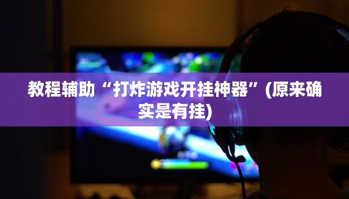 教程辅助“打炸游戏开挂神器”(原来确实是有挂)
