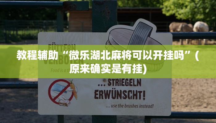 教程辅助“微乐湖北麻将可以开挂吗”(原来确实是有挂)