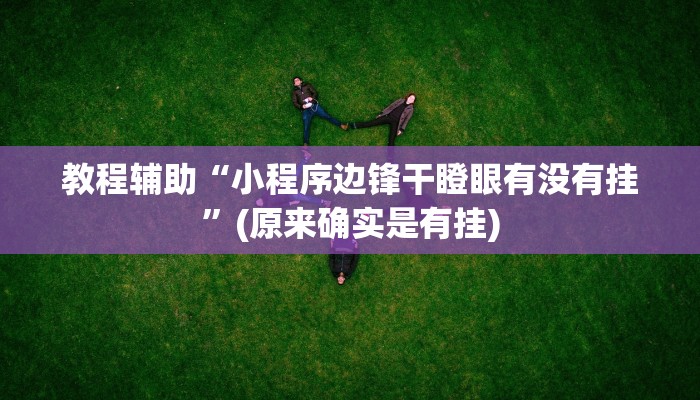 教程辅助“小程序边锋干瞪眼有没有挂”(原来确实是有挂)