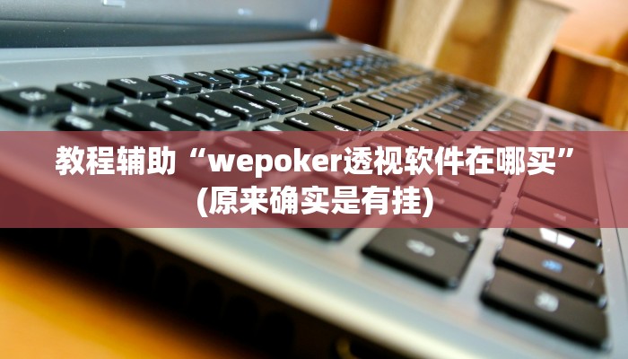 教程辅助“wepoker透视软件在哪买”(原来确实是有挂)