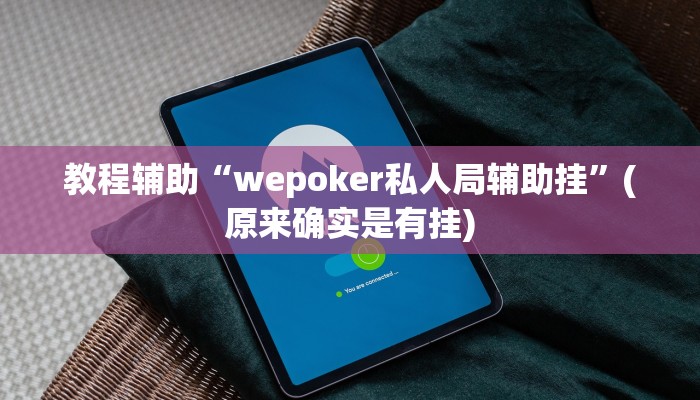 教程辅助“wepoker私人局辅助挂”(原来确实是有挂)