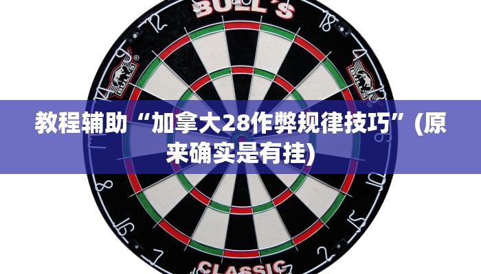 教程辅助“加拿大28作弊规律技巧”(原来确实是有挂)
