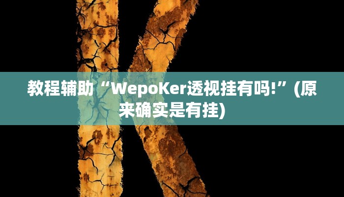 教程辅助!“德扑之星透视挂破解版”其实确实有挂