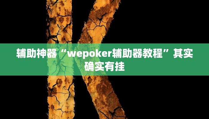 辅助神器“wepoker辅助器教程”其实确实有挂