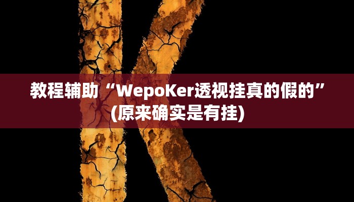 教程辅助“WepoKer透视挂真的假的”(原来确实是有挂)
