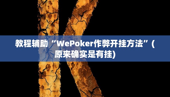 教程辅助“WePoker作弊开挂方法”(原来确实是有挂)