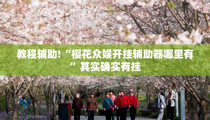 教程辅助!“樱花众娱开挂辅助器哪里有”其实确实有挂