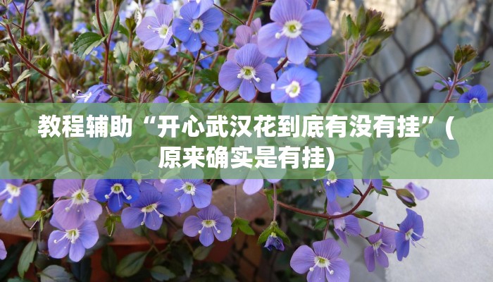教程辅助“开心武汉花到底有没有挂”(原来确实是有挂)