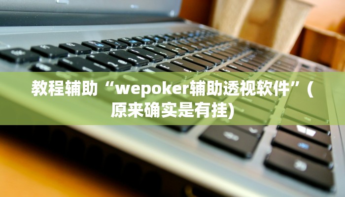 教程辅助“wepoker辅助透视软件”(原来确实是有挂)