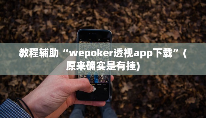 教程辅助“wepoker透视app下载”(原来确实是有挂)
