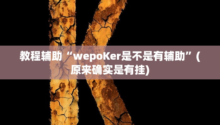 教程辅助“wepoKer是不是有辅助”(原来确实是有挂)