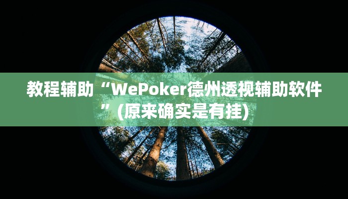 教程辅助“WePoker德州透视辅助软件”(原来确实是有挂)