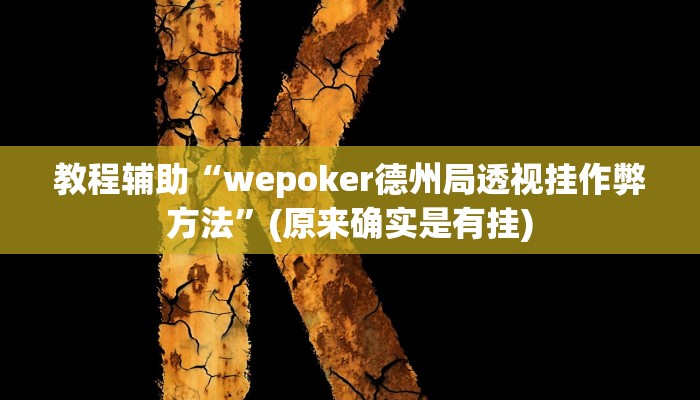 教程辅助“wepoker德州局透视挂作弊方法”(原来确实是有挂)