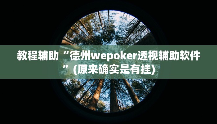 教程辅助“德州wepoker透视辅助软件”(原来确实是有挂)