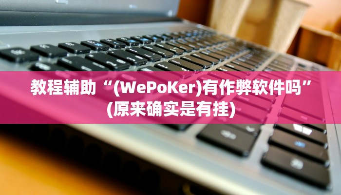 教程辅助“(WePoKer)有作弊软件吗”(原来确实是有挂)