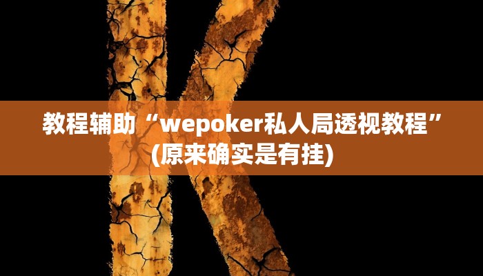 教程辅助“wepoker私人局透视教程”(原来确实是有挂)